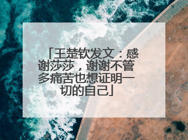 王楚钦发文：感谢莎莎，谢谢不管多痛苦也想证明一切的自己