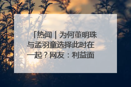热闻｜为何董明珠与孟羽童选择此时在一起？网友：利益面前啥都能和解