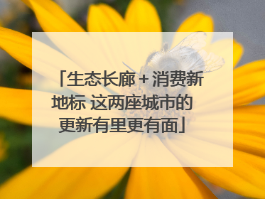 生态长廊＋消费新地标 这两座城市的更新有里更有面