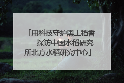 用科技守护黑土稻香——探访中国水稻研究所北方水稻研究中心