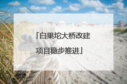白果坨大桥改建项目稳步推进