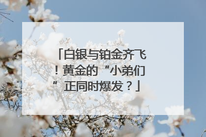 白银与铂金齐飞！黄金的“小弟们”正同时爆发？