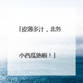 皮薄多汁，北务小西瓜熟啦！