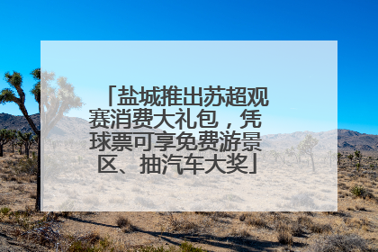 盐城推出苏超观赛消费大礼包，凭球票可享免费游景区、抽汽车大奖