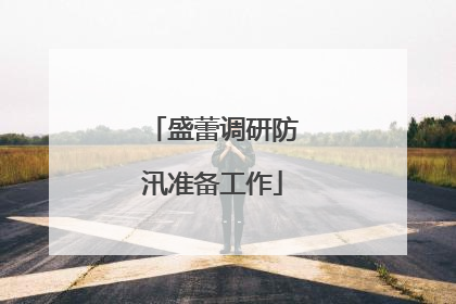 盛蕾调研防汛准备工作