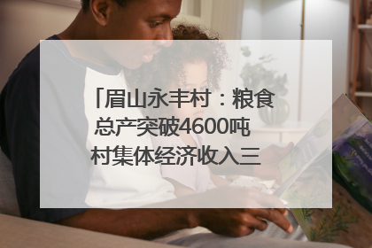 眉山永丰村：粮食总产突破4600吨 村集体经济收入三年倍增｜牵挂的村