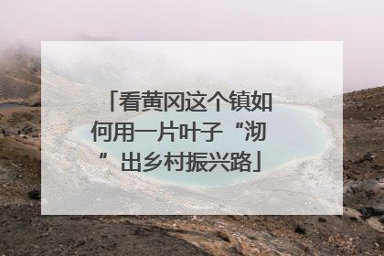 看黄冈这个镇如何用一片叶子“沏”出乡村振兴路