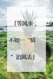 等风来，不如一“骑”追风去