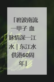 碧波南流一甲子 血脉情深一江水｜东江水供港60周年
