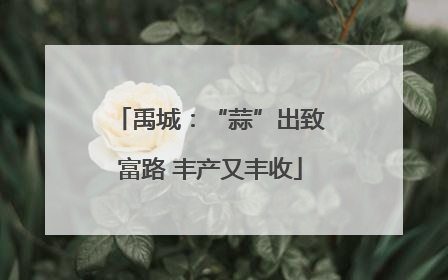 禹城：“蒜”出致富路 丰产又丰收