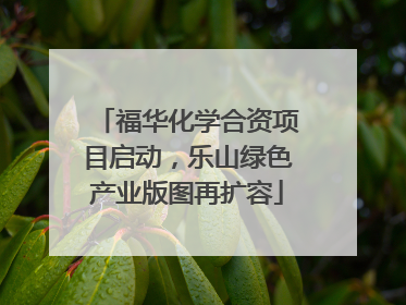 福华化学合资项目启动，乐山绿色产业版图再扩容