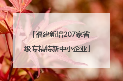 福建新增207家省级专精特新中小企业
