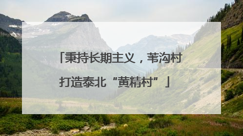秉持长期主义，苇沟村打造泰北“黄精村”