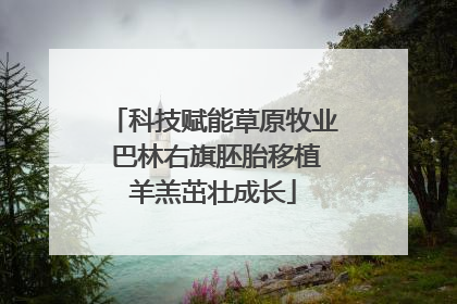 科技赋能草原牧业 巴林右旗胚胎移植羊羔茁壮成长