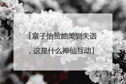 章子怡赞她美到失语，这是什么神仙互动