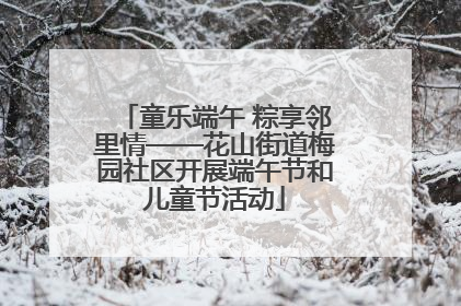 童乐端午 粽享邻里情——花山街道梅园社区开展端午节和儿童节活动
