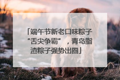 端午节新老口味粽子“舌尖争霸”，青岛脂渣粽子强势出圈