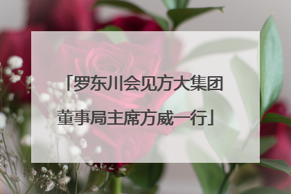 罗东川会见方大集团董事局主席方威一行
