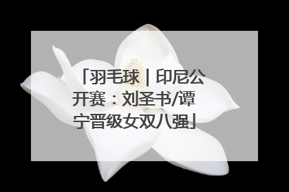 羽毛球｜印尼公开赛：刘圣书/谭宁晋级女双八强