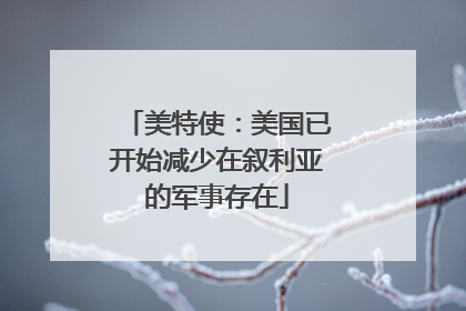 美特使：美国已开始减少在叙利亚的军事存在