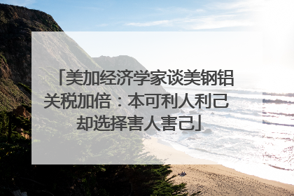 美加经济学家谈美钢铝关税加倍：本可利人利己 却选择害人害己
