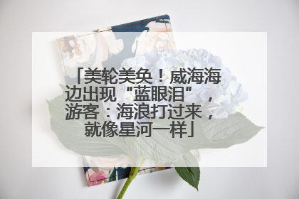 美轮美奂！威海海边出现“蓝眼泪”，游客：海浪打过来，就像星河一样
