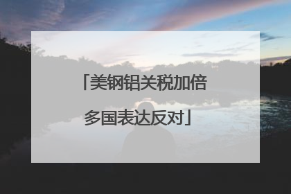 美钢铝关税加倍 多国表达反对