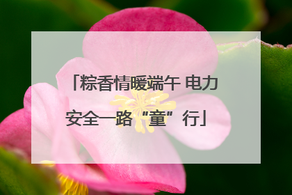 粽香情暖端午 电力安全一路“童”行