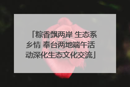 粽香飘两岸 生态系乡情 奉台两地端午活动深化生态文化交流