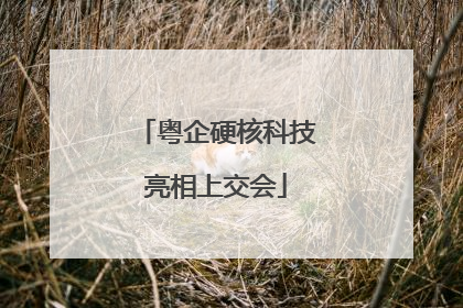 粤企硬核科技亮相上交会