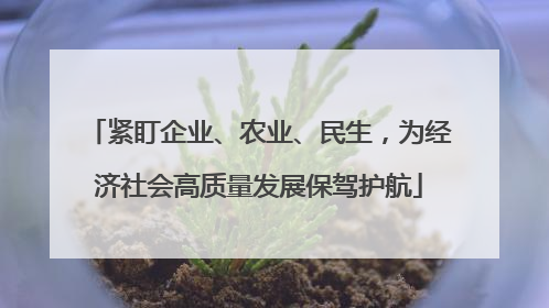 紧盯企业、农业、民生，为经济社会高质量发展保驾护航