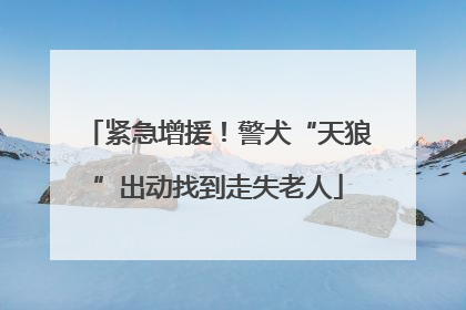 紧急增援！警犬“天狼”出动找到走失老人