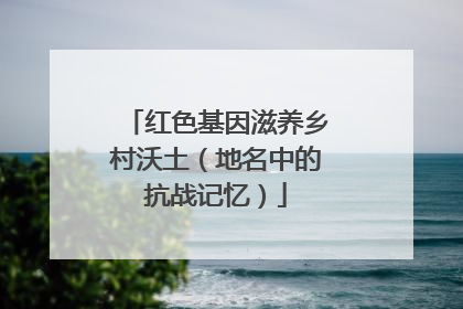 红色基因滋养乡村沃土（地名中的抗战记忆）