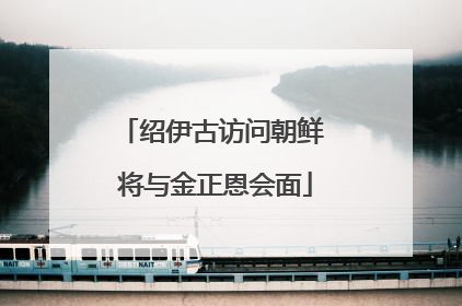绍伊古访问朝鲜 将与金正恩会面