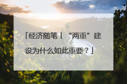 经济随笔丨“两重”建设为什么如此重要？