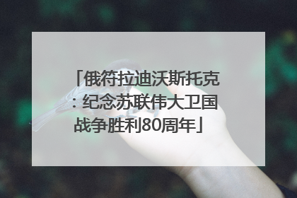 俄符拉迪沃斯托克：纪念苏联伟大卫国战争胜利80周年