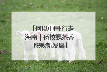 何以中国·行走海南｜侨校飘茶香 职教新发展