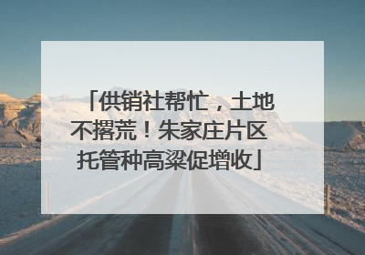 供销社帮忙，土地不撂荒！朱家庄片区托管种高粱促增收