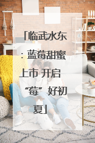临武水东：蓝莓甜蜜上市 开启“莓”好初夏