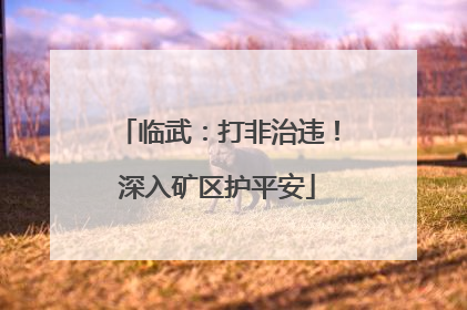 临武：打非治违！深入矿区护平安