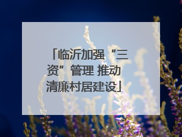 临沂加强“三资”管理 推动清廉村居建设