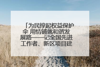 为民撑起权益保护伞 用情铺就和谐发展路——记全国先进工作者、新区项目建设中心干部卢小勇