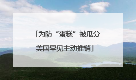为防“蛋糕”被瓜分 美国罕见主动推销