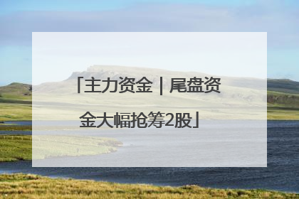 主力资金｜尾盘资金大幅抢筹2股