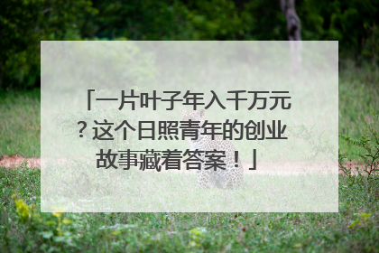 一片叶子年入千万元？这个日照青年的创业故事藏着答案！