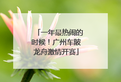 一年最热闹的时候！广州车陂龙舟激情开赛