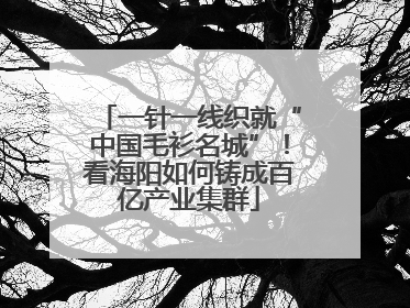 一针一线织就“中国毛衫名城”！看海阳如何铸成百亿产业集群