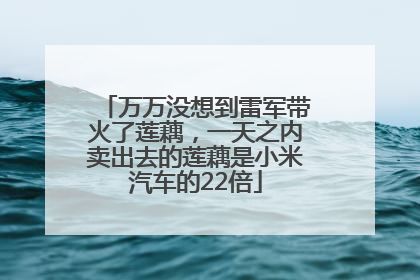 万万没想到雷军带火了莲藕，一天之内卖出去的莲藕是小米汽车的22倍