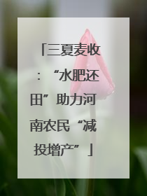 三夏麦收：“水肥还田”助力河南农民“减投增产”