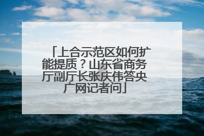 上合示范区如何扩能提质？山东省商务厅副厅长张庆伟答央广网记者问